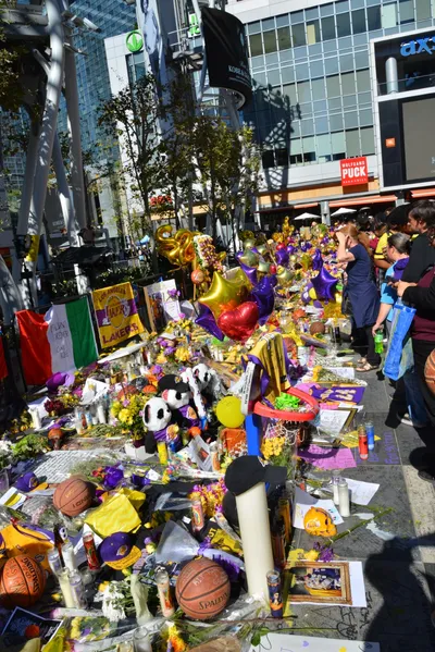 DSC_7185 (Large).JPG